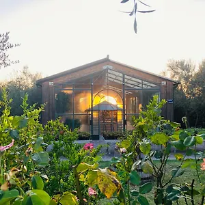 https://villa-pian-de-somari.it-tuscanyhotel.com